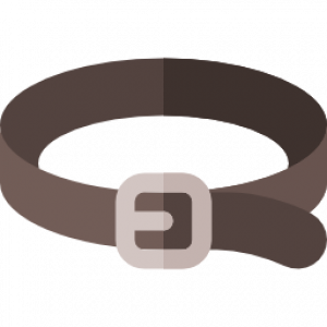 belt (1)